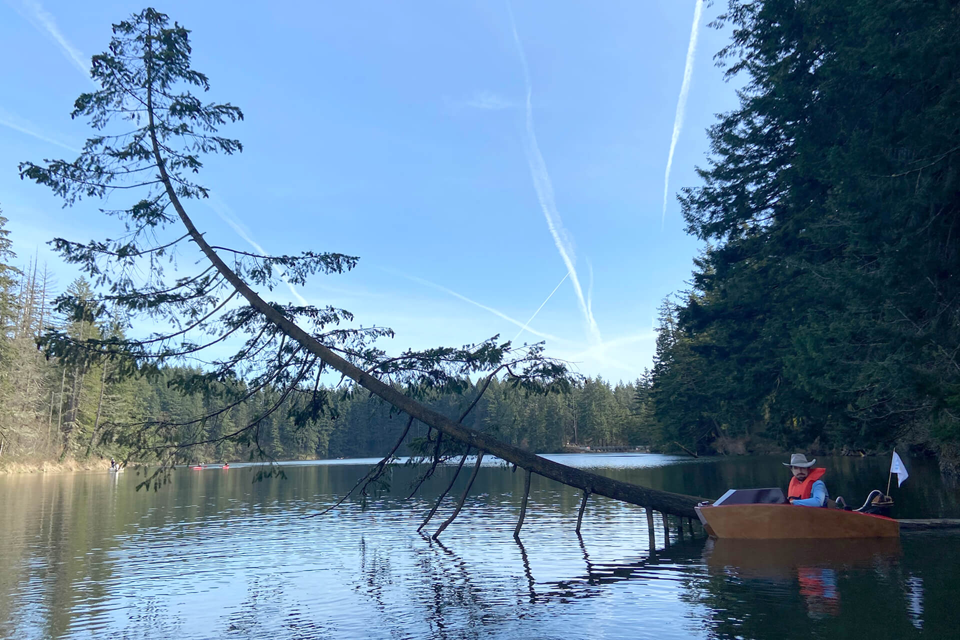 The mini boat next to a curved tree growing out of the water.