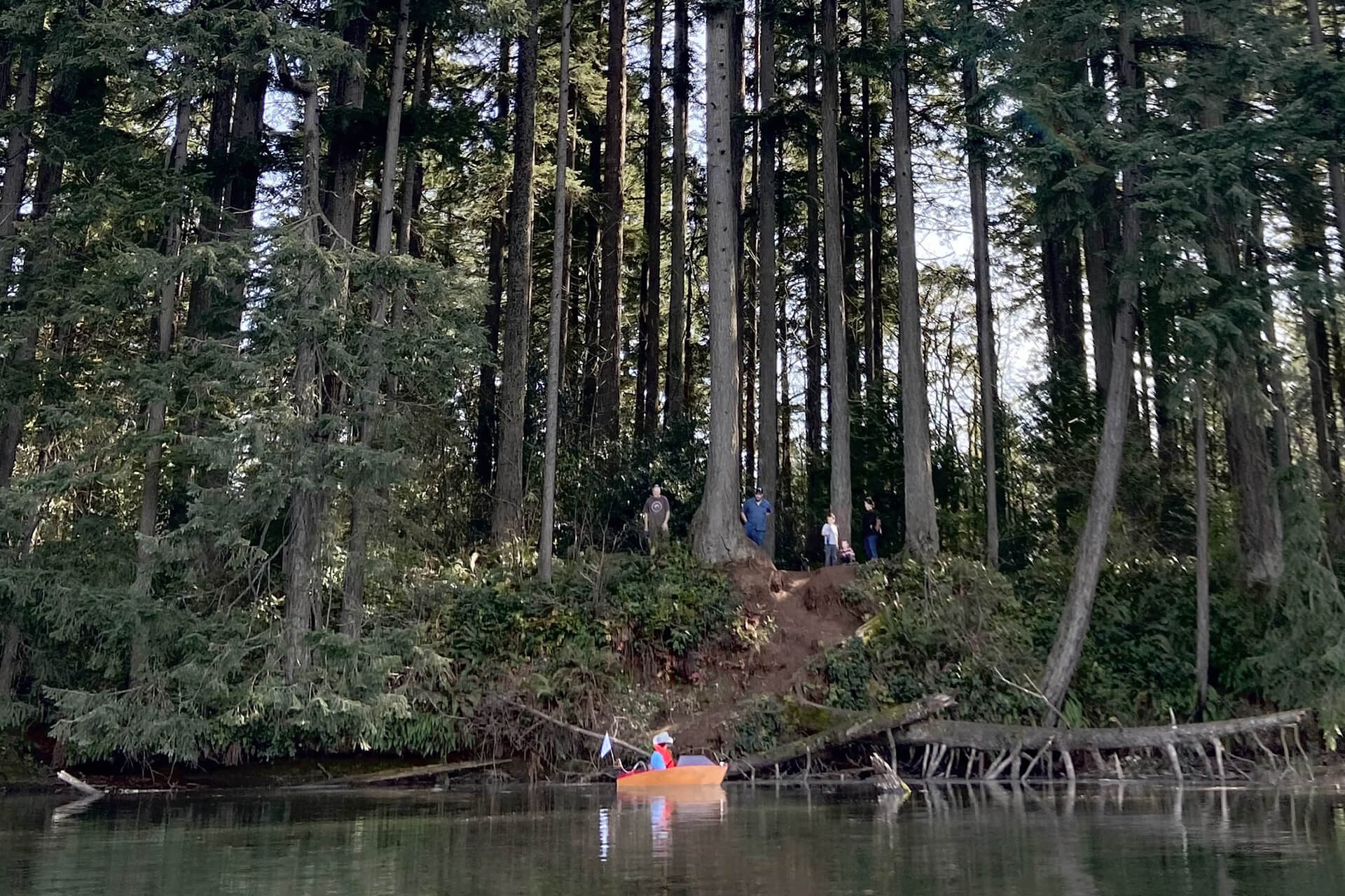 The mini boat next to a shoreline with large trees.